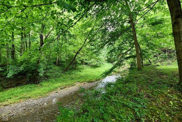 5202 Hill Valley Dr, Pittsboro, IN 46167 - view of wooded area