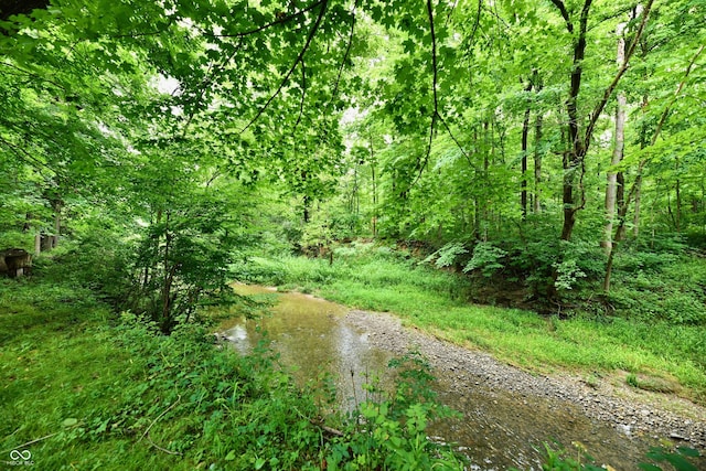 5202 Hill Valley Dr, Pittsboro, IN 46167 - view of wooded area