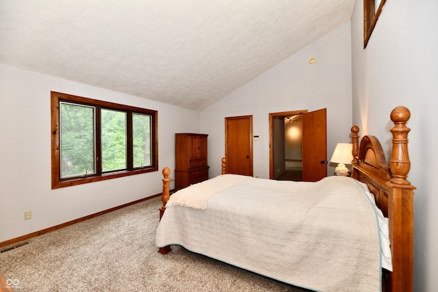 5202 Hill Valley Dr, Pittsboro, IN 46167 - bedroom with vaulted ceiling, carpet floors, and a textured ceiling
