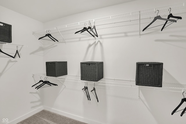 11920 Moorfield Ln, Indianapolis, IN 46235 - spacious closet with carpet