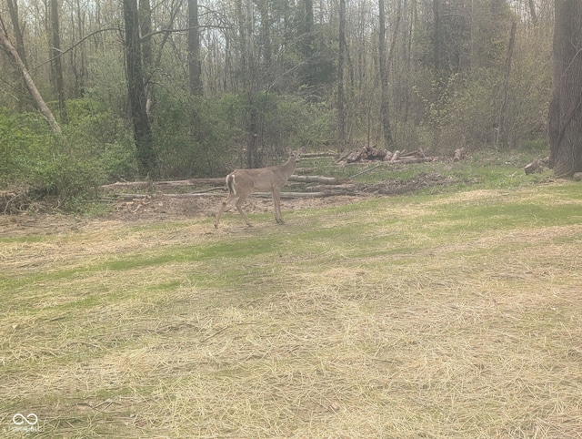 12407 E US Highway 50, Seymour, IN 47274 - photo 50