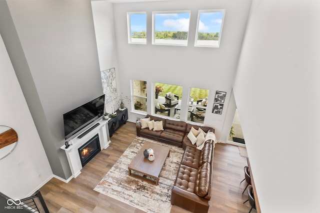 13644 Haven Cove Ln, Fishers, IN 46055 - living room with a glass covered fireplace, wood finished floors, and a high ceiling