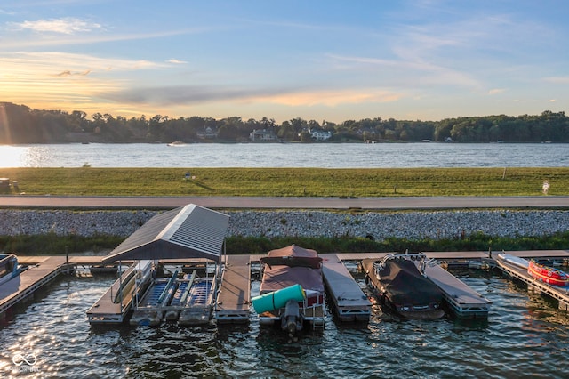 13644 Haven Cove Ln, Fishers, IN 46055 - dock with a water view, a yard, and boat lift
