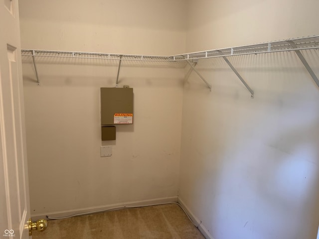 14520 Brackney Ln, Carmel, IN 46032 - walk in closet with carpet flooring
