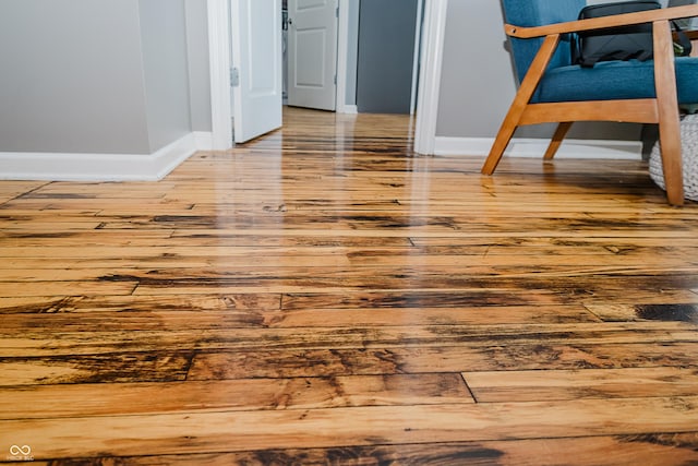 624 E Walnut St Unit 26, Indianapolis, IN 46204 - detailed view of wood finished floors