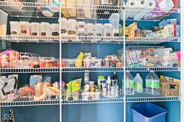 13816 Ambria Dr, Mccordsville, IN 46055 - view of pantry