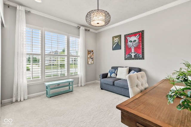 13816 Ambria Dr, Mccordsville, IN 46055 - carpeted office space featuring crown molding and a textured ceiling