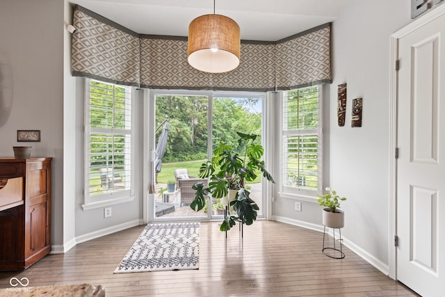 13816 Ambria Dr, Mccordsville, IN 46055 - dining area with plenty of natural light and hardwood / wood-style flooring