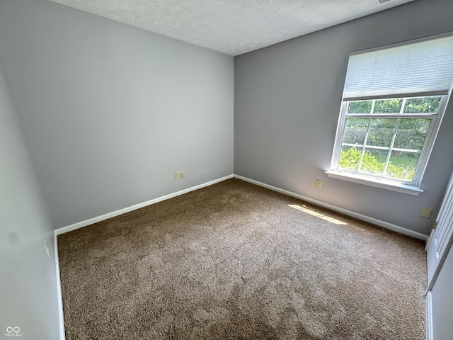 9716 Spruce Ln, Fishers, IN 46038 - empty room with carpet and a textured ceiling