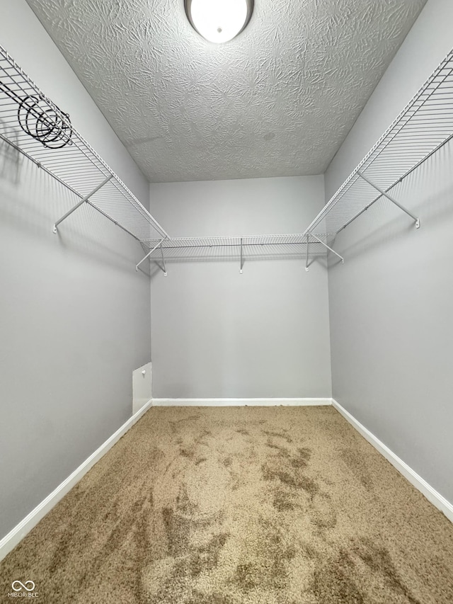9716 Spruce Ln, Fishers, IN 46038 - walk in closet with carpet flooring