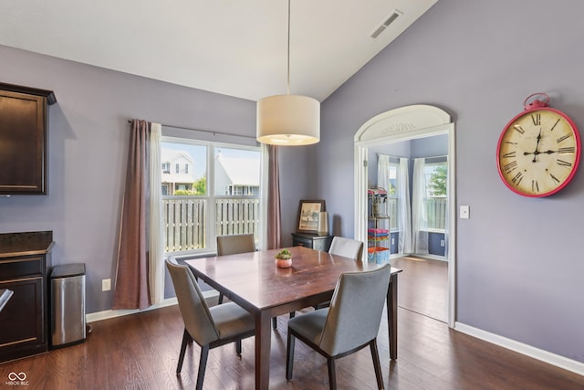 897 Sommersweet Run, Greenwood, IN 46143 - dining space featuring plenty of natural light, lofted ceiling, and dark wood finished floors