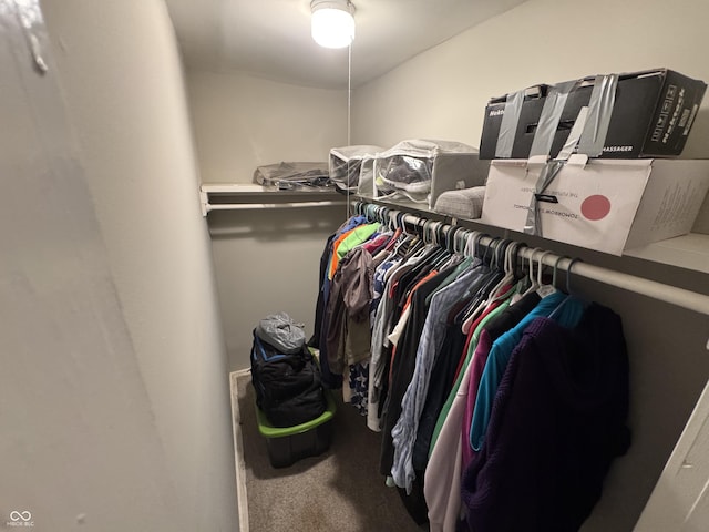 4006 Kenneth Ave, Indianapolis, IN 46226 - walk in closet with carpet