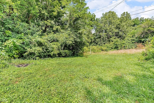 2316 Porter St, Indianapolis, IN 46231 - photo 37