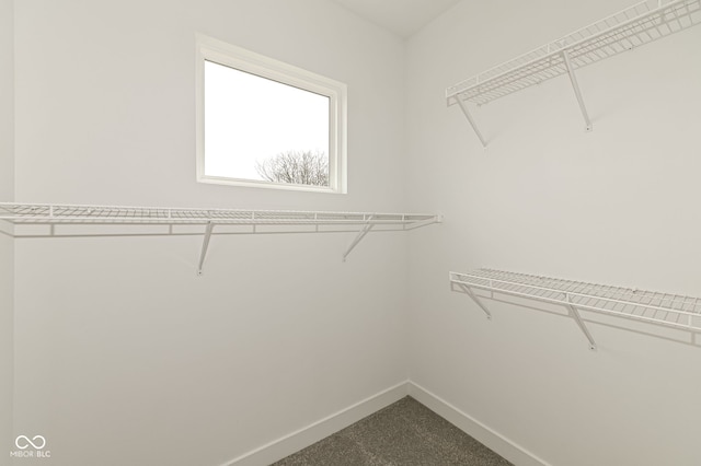 2416 Winthrop Ave, Indianapolis, IN 46205 - view of spacious closet