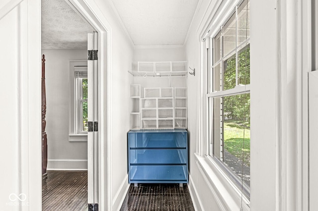 4123 N Illinois St, Indianapolis, IN 46208 - walk in closet featuring dark wood-type flooring