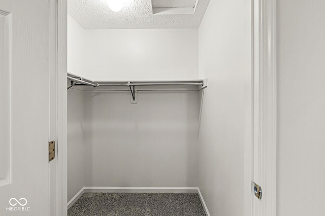 3772 Brill Rd, Indianapolis, IN 46227 - walk in closet with carpet floors