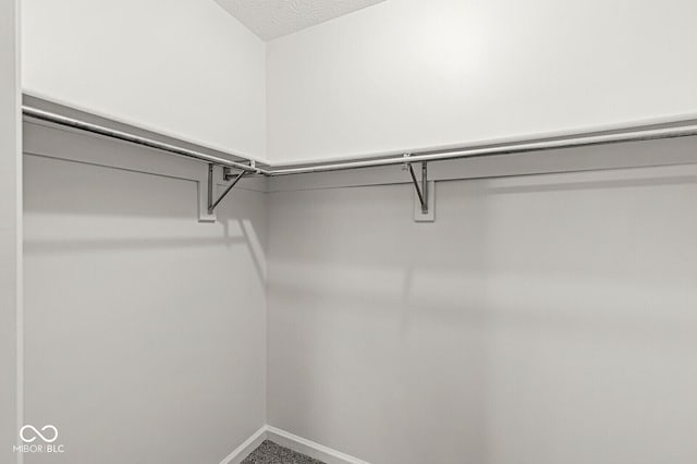 3772 Brill Rd, Indianapolis, IN 46227 - view of spacious closet