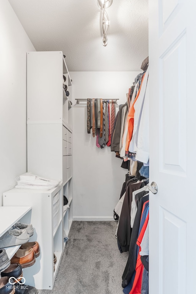 12384 Barnstone Ct, Fishers, IN 46037 - walk in closet with carpet