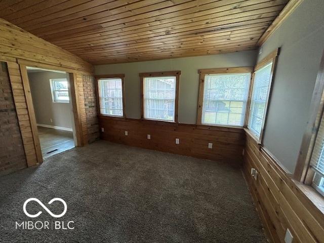 2732 Morning Star Dr, Indianapolis, IN 46229 - carpeted empty room with wood ceiling, wood walls, and wainscoting