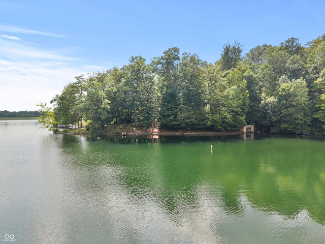 2591 S Glen Cv, Martinsville, IN 46151 - water view
