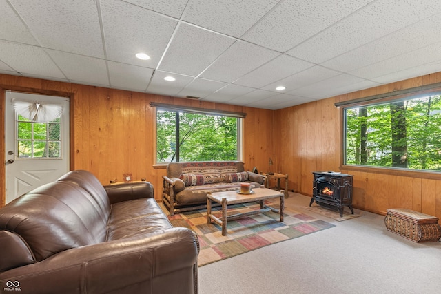 2591 S Glen Cv, Martinsville, IN 46151 - living room featuring healthy amount of natural light, a wood stove, carpet, wood walls, and recessed lighting