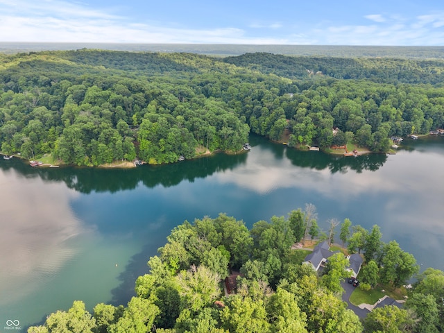 2591 S Glen Cv, Martinsville, IN 46151 - bird's eye view of a heavily wooded area and a large body of water