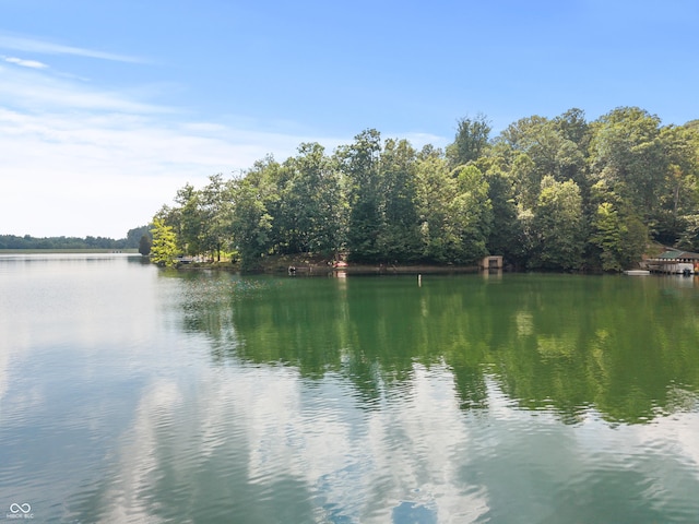 2591 S Glen Cv, Martinsville, IN 46151 - water view featuring a heavily wooded area