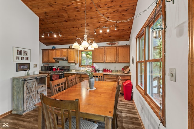 2591 S Glen Cv, Martinsville, IN 46151 - dining area with wood ceiling, track lighting, a chandelier, dark wood-type flooring, and lofted ceiling