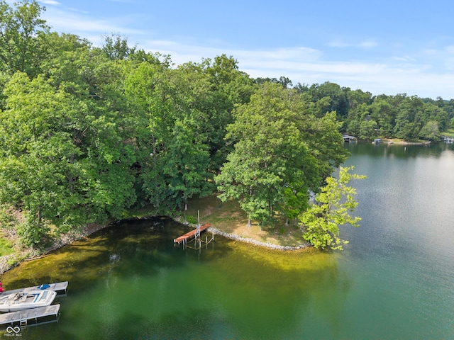 2591 S Glen Cv, Martinsville, IN 46151 - water view with a heavily wooded area