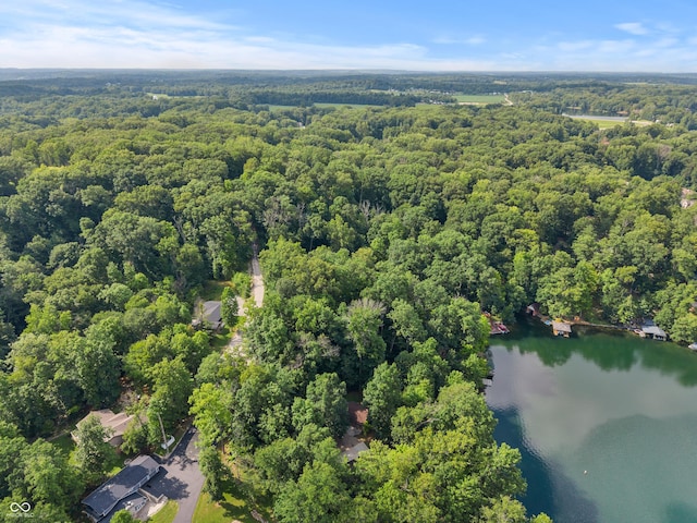 2591 S Glen Cv, Martinsville, IN 46151 - aerial view of a heavily wooded area