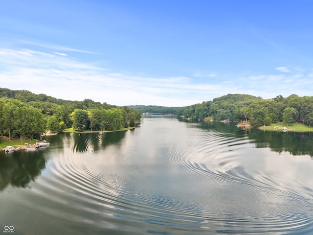 2591 S Glen Cv, Martinsville, IN 46151 - water view featuring a heavily wooded area