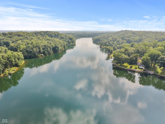 2591 S Glen Cv, Martinsville, IN 46151 - aerial view of a large body of water and a heavily wooded area