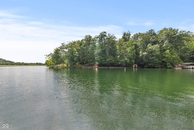 2591 S Glen Cv, Martinsville, IN 46151 - water view