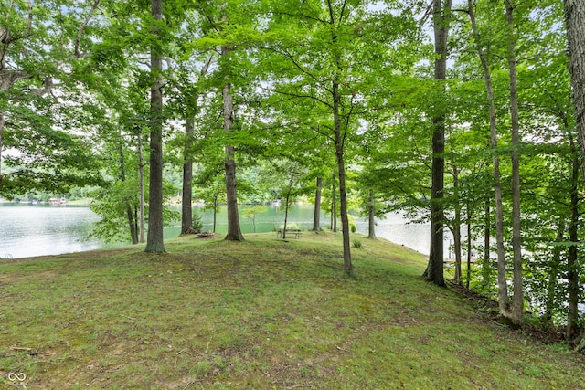 2591 S Glen Cv, Martinsville, IN 46151 - view of green lawn featuring a water view