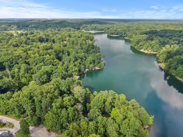2591 S Glen Cv, Martinsville, IN 46151 - aerial overview of property's location featuring a forest and a nearby body of water