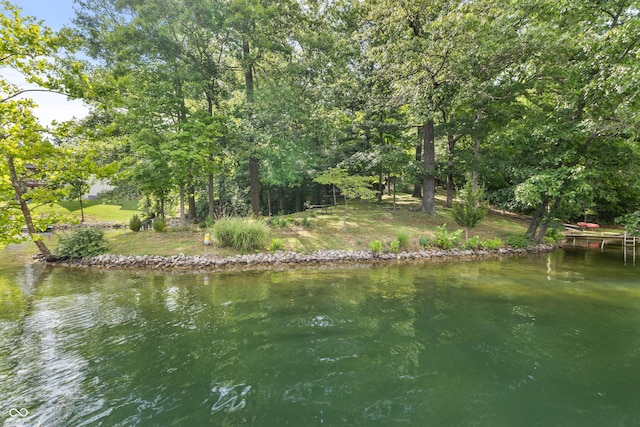 2591 S Glen Cv, Martinsville, IN 46151 - water view