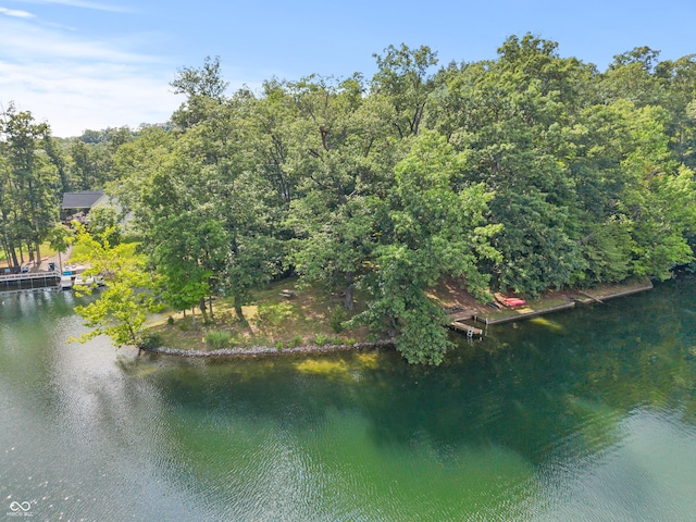 2591 S Glen Cv, Martinsville, IN 46151 - water view featuring a dock