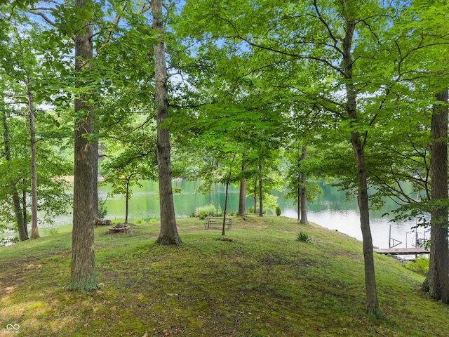 2591 S Glen Cv, Martinsville, IN 46151 - view of grassy yard featuring a water view