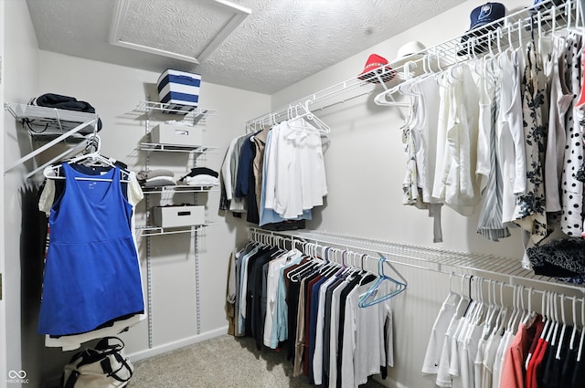 682 Shannon Ct, Noblesville, IN 46062 - walk in closet featuring attic access and carpet flooring
