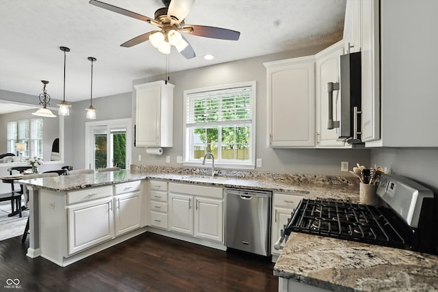 682 Shannon Ct, Noblesville, IN 46062 - kitchen with appliances with stainless steel finishes, a peninsula, plenty of natural light, ceiling fan, and recessed lighting