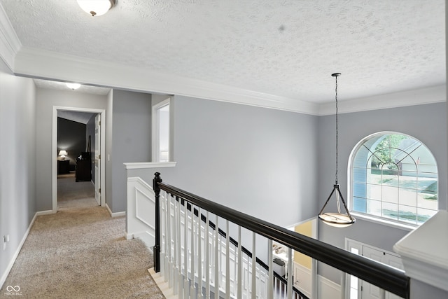 682 Shannon Ct, Noblesville, IN 46062 - hallway featuring an upstairs landing, carpet, crown molding, and a textured ceiling