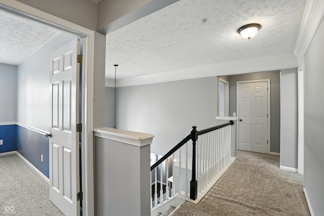 682 Shannon Ct, Noblesville, IN 46062 - corridor with an upstairs landing, carpet floors, a textured ceiling, and crown molding
