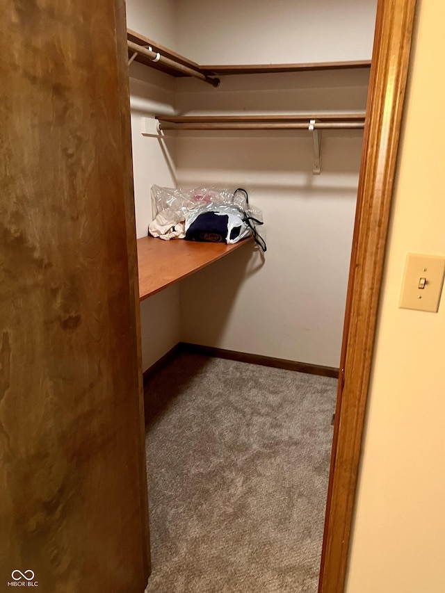 7057 Bluffwood Ct, Brownsburg, IN 46112 - walk in closet with carpet