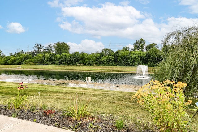 5119 Silverbell Dr, Plainfield, IN 46168 - surrounding community with a water view and a yard