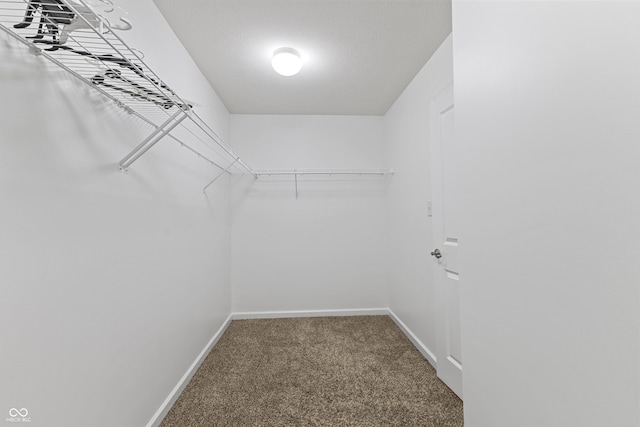 2833 Holiday Way, Greenwood, IN 46143 - spacious closet with carpet floors