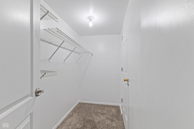 2833 Holiday Way, Greenwood, IN 46143 - walk in closet featuring carpet