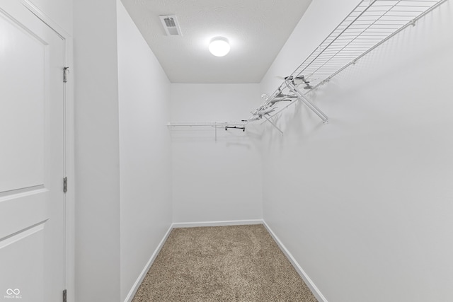 2833 Holiday Way, Greenwood, IN 46143 - spacious closet with carpet flooring