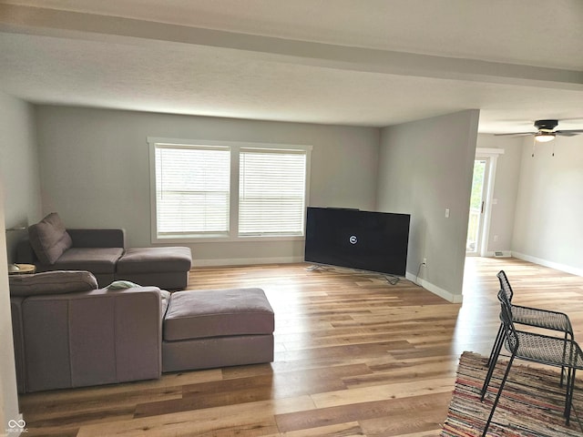 7422 S 575 W, Morgantown, IN 46160 - living area with light wood-style floors and ceiling fan
