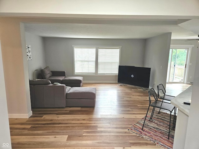7422 S 575 W, Morgantown, IN 46160 - living room with light wood finished floors and a ceiling fan