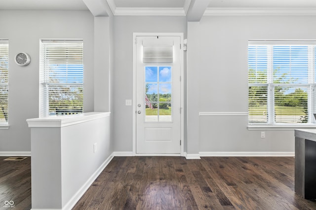 5875 Stroup Dr, Noblesville, IN 46062 - entryway with dark wood-style floors, ornamental molding, and plenty of natural light